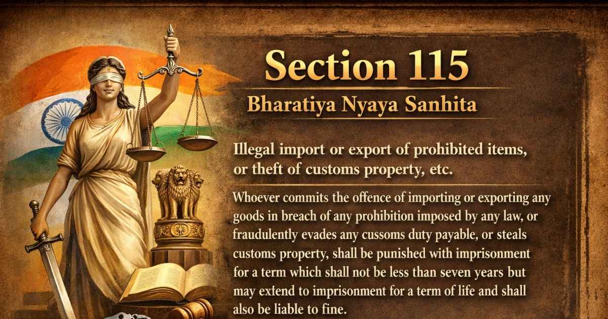 Section 115 of Bharatiya Nyaya Sanhita